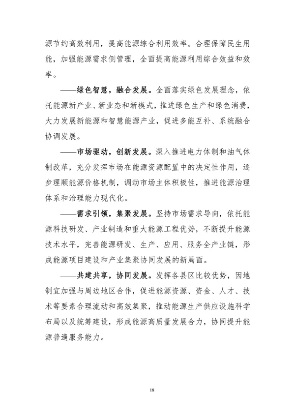 附件-河源市能源發(fā)展“十四五”規(guī)劃(征求意見稿).docx_97_21.jpg